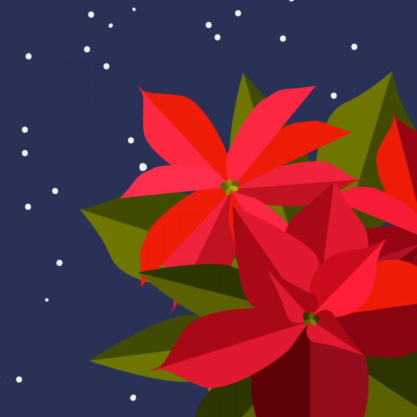 Image for event: Poinsettia Painting