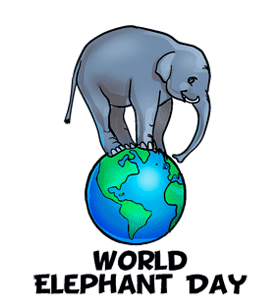 Image for event: World Elephant Day Craft and More!
